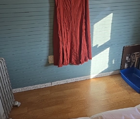 SHEIN Rust Maxi Skirt - Picture 3 of 6